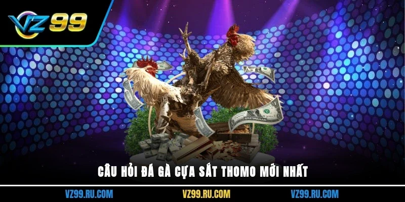 Câu hỏi đá gà cựa sắt thomo mới nhất
