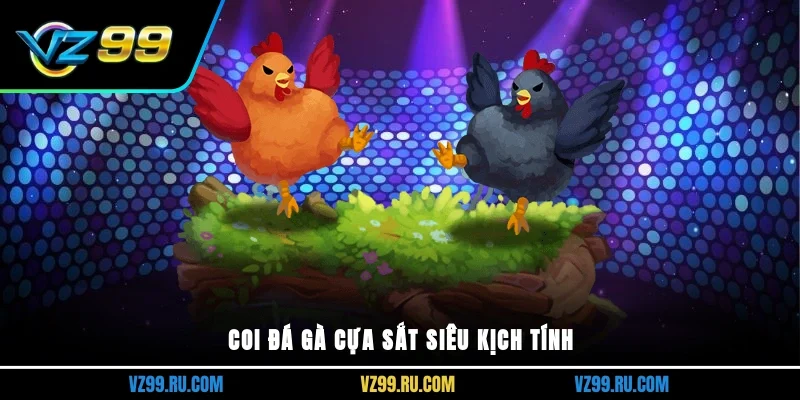 Coi đá gà cựa sắt siêu kịch tính