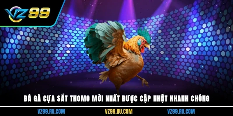 Đá gà cựa sắt thomo mới nhất
