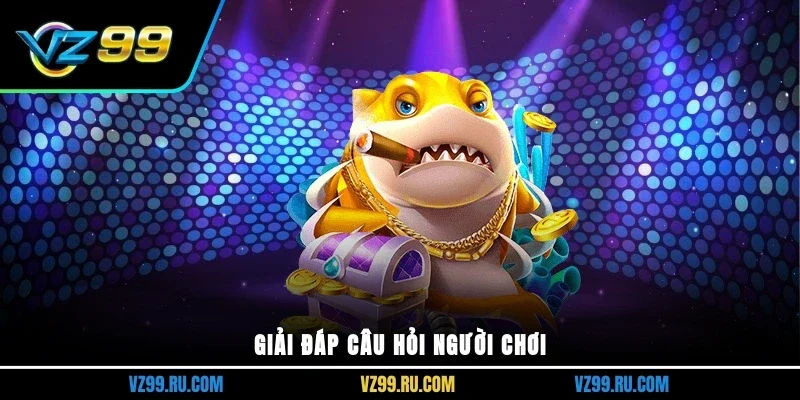 Giải đáp câu hỏi người chơi
