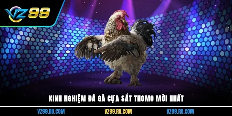 Kinh nghiệm đá gà cựa sắt thomo mới nhất