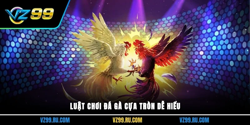Luật chơi đá gà cựa tròn dễ hiểu