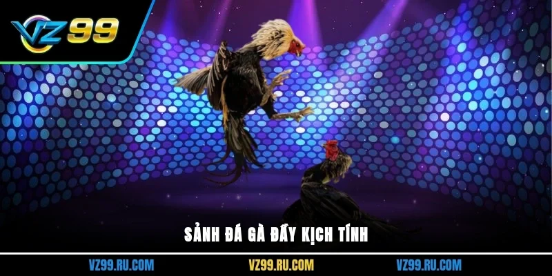 Sảnh đá gà đầy kịch tính