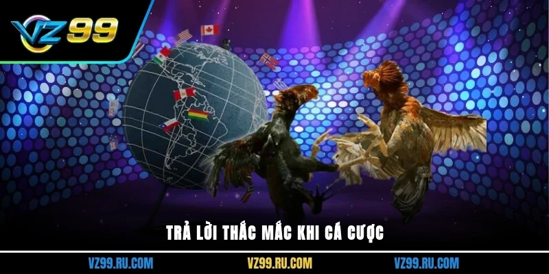Trả lời thắc mắc khi cá cược